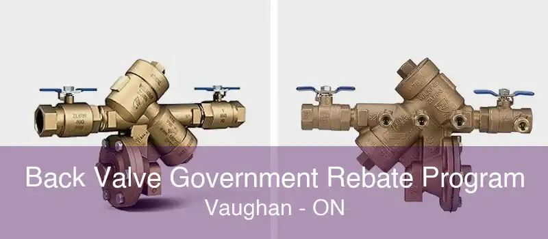 Back Valve Government Rebate Program Vaughan - ON