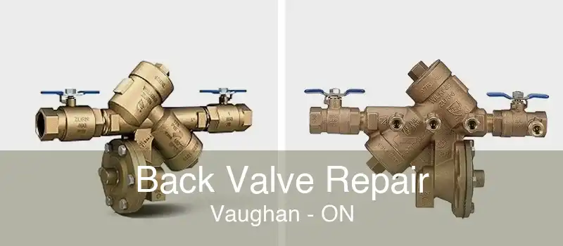 Back Valve Repair Vaughan - ON