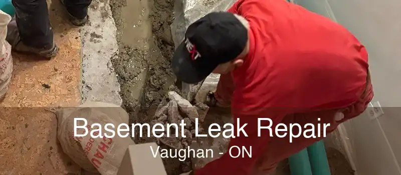 Basement Leak Repair Vaughan - ON