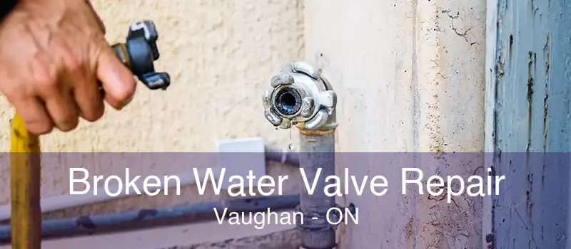 Broken Water Valve Repair Vaughan - ON