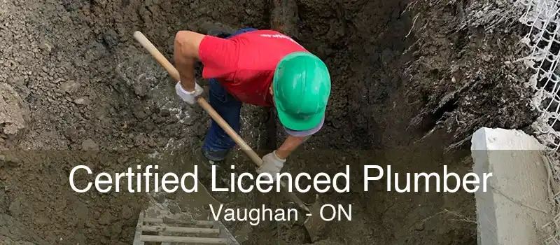 Certified Licenced Plumber Vaughan - ON