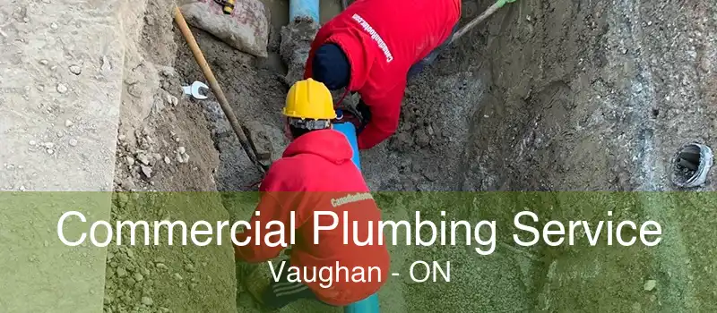 Commercial Plumbing Service Vaughan - ON