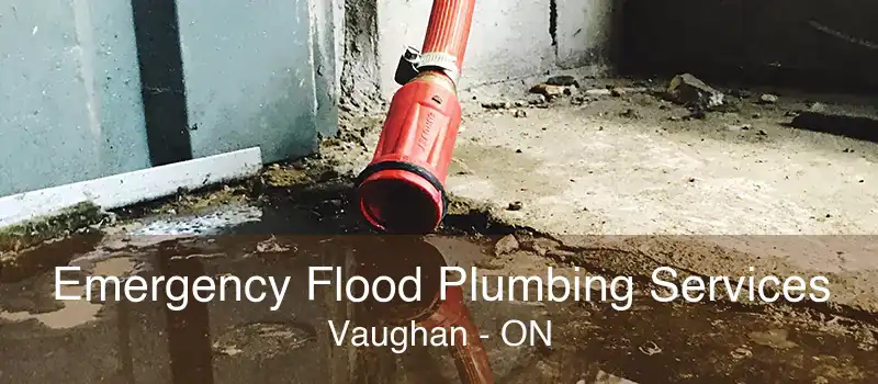 Emergency Flood Plumbing Services Vaughan - ON