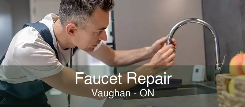 Faucet Repair Vaughan - ON