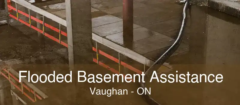 Flooded Basement Assistance Vaughan - ON