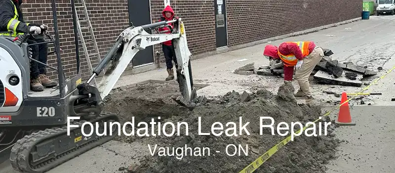 Foundation Leak Repair Vaughan - ON