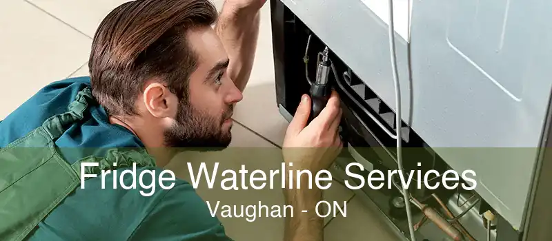 Fridge Waterline Services Vaughan - ON