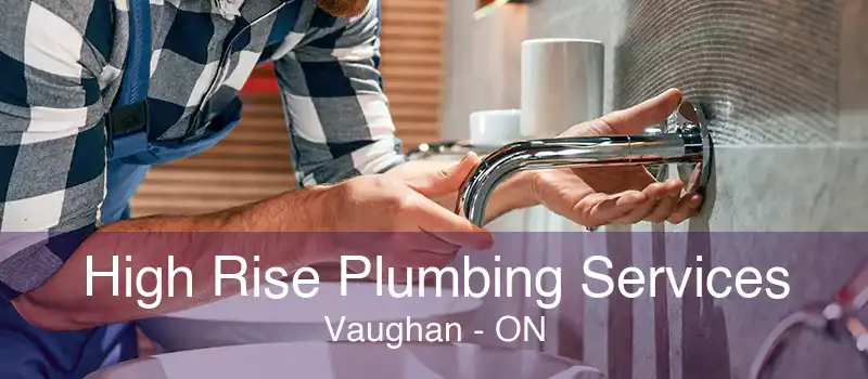 High Rise Plumbing Services Vaughan - ON