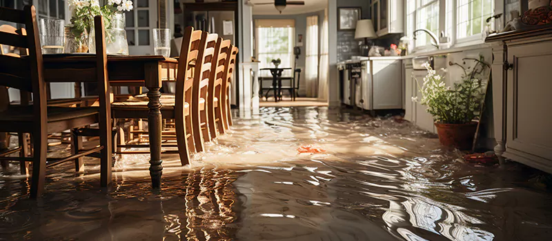 Flooded House Help Near Me in Vaughan, Ontario