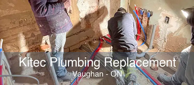 Kitec Plumbing Replacement Vaughan - ON