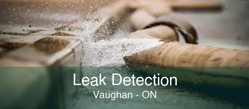 Leak Detection Vaughan - ON