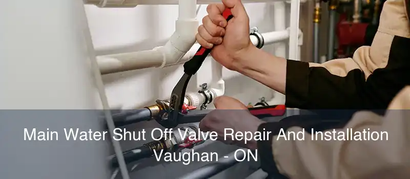 Main Water Shut Off Valve Repair And Installation Vaughan - ON