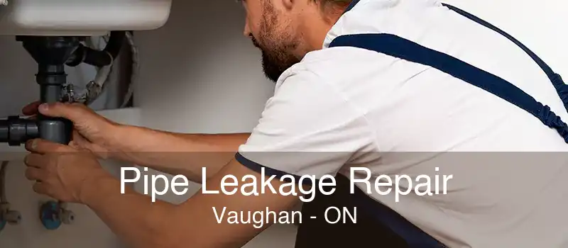 Pipe Leakage Repair Vaughan - ON