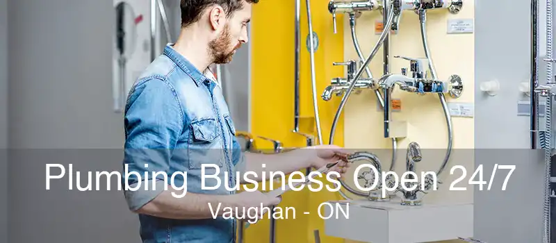 Plumbing Business Open 24/7 Vaughan - ON