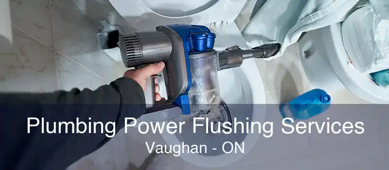 Plumbing Power Flushing Services Vaughan - ON