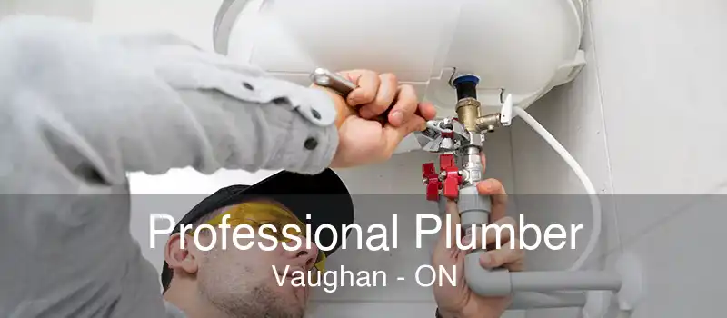 Professional Plumber Vaughan - ON