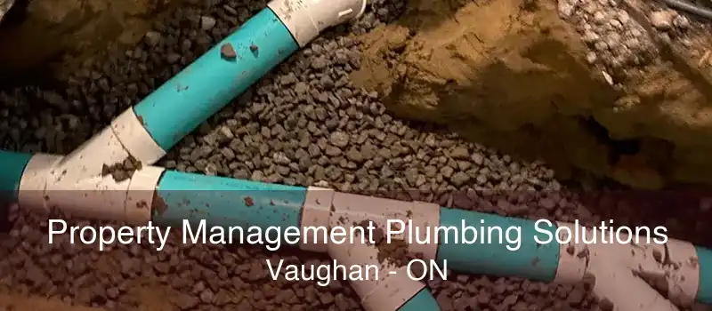 Property Management Plumbing Solutions Vaughan - ON