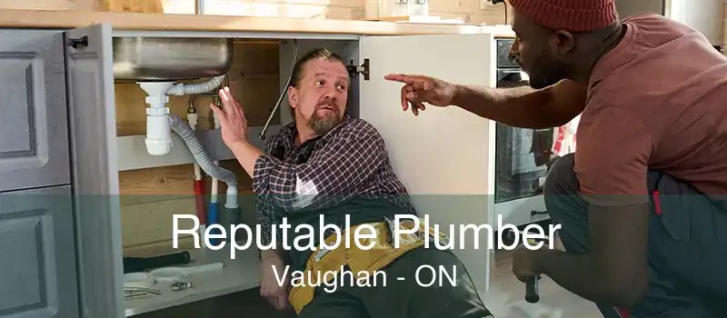 Reputable Plumber Vaughan - ON