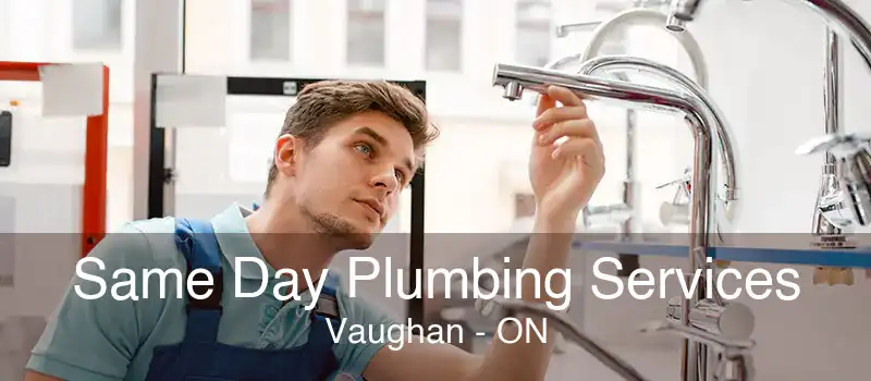 Same Day Plumbing Services Vaughan - ON