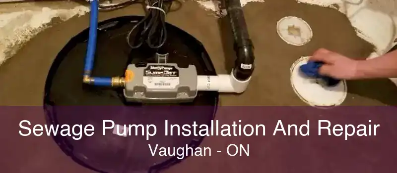 Sewage Pump Installation And Repair Vaughan - ON