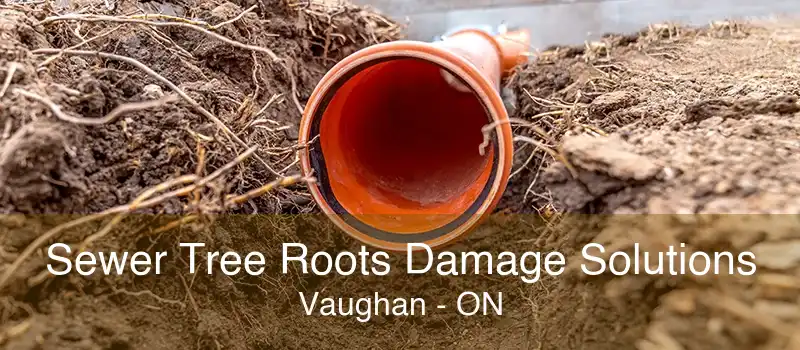 Sewer Tree Roots Damage Solutions Vaughan - ON