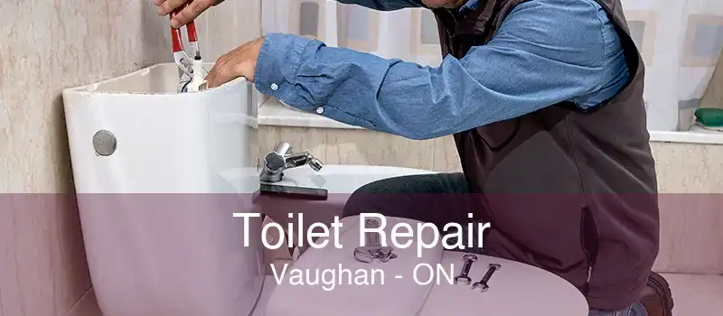 Toilet Repair Vaughan - ON