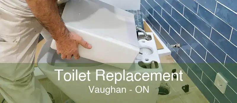 Toilet Replacement Vaughan - ON