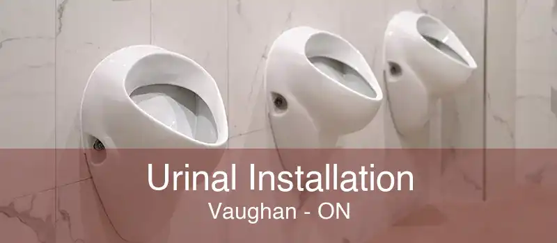 Urinal Installation Vaughan - ON