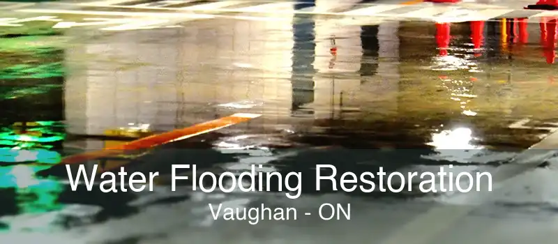 Water Flooding Restoration Vaughan - ON