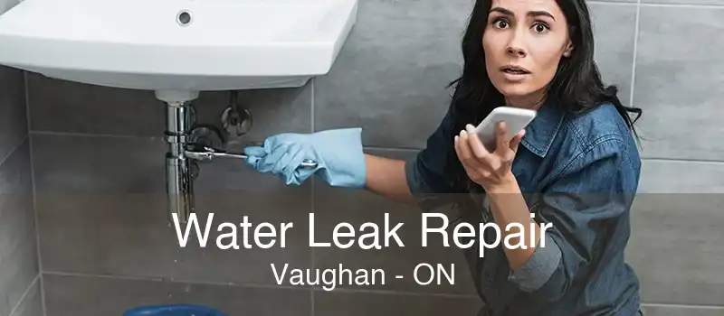 Water Leak Repair Vaughan - ON