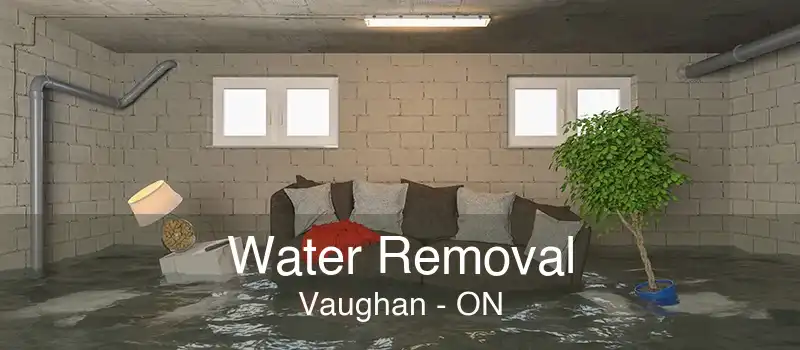 Water Removal Vaughan - ON