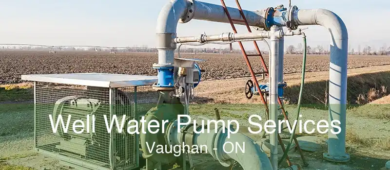 Well Water Pump Services Vaughan - ON